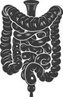 Silhouette human intestine black color only vector