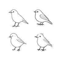 Cute bird illustration black and white cartoon character design collection. White background. Pets, Animals. vector