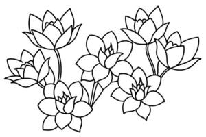 Illustration with flowers tulips outline style design vector