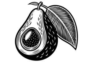 aguacate bosquejo mano dibujado ilustración diseño vector