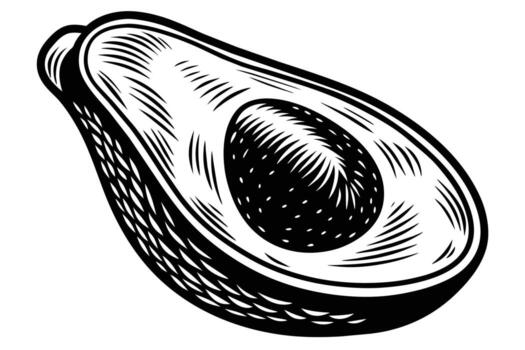 aguacate bosquejo mano dibujado ilustración diseño vector