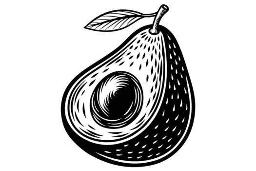 aguacate bosquejo mano dibujado ilustración diseño vector