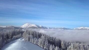 Flight over forest and fog in the Carpathians. Beautiful landscape of winter mountains. Aerial view. 4K video