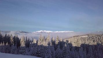 Flight over forest and fog in the Carpathians. Beautiful landscape of winter mountains. Aerial view. 4K video