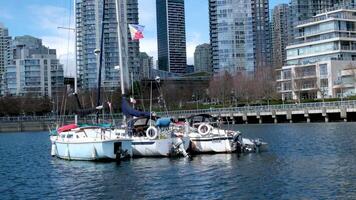 Granville Island Real life skyscrapers people walking kayaking many shops videos from which you can create a clip of the history of news BC sea bass ships people on bicycles seagulls good weather