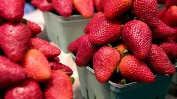 granville ilha mulher dentro uma mascarar vende framboesas, morangos e ojin, tudo é em a contador dentro containers liderar Fora com tal ganchos para compradores vegetais, frutas e bagas em a mercado video