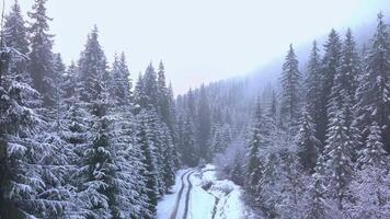 vol plus de le forêt dans le Carpates. magnifique paysage de hiver montagnes. aérien voir. 4k video
