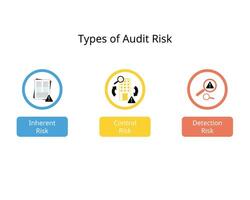 Type of audit risk for Inherent Risk, control risk, detection risk vector