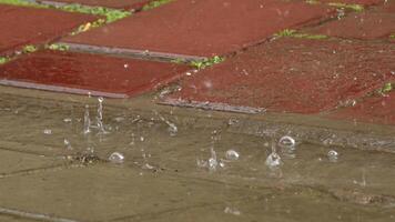 regndroppar spill på de trottoar antal fot. video
