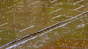 gouttes de pluie effusion sur le chaussée images. video