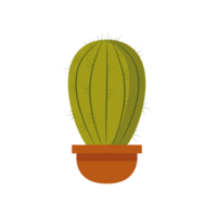 redondo cactus en maceta aislado ilustración. suculento para interior de oficina, Departamento y instalaciones. planta de casa con espinas mano dibujado. png