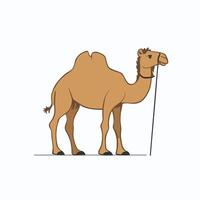 Cartoon camel isolated on white background vector