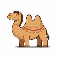 Cartoon camel isolated on white background vector