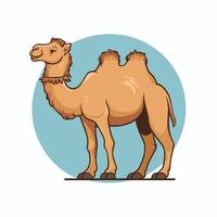 Cartoon camel isolated on white background vector