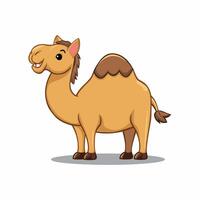 Cartoon camel isolated on white background vector