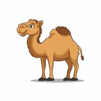 Cartoon camel isolated on white background vector