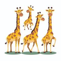 Cute Giraffe Animal isolated flat illustration white background vector