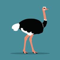 Cute Ostrich animal cartoon animals illustration isolated on white background. vector