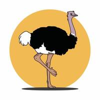 linda avestruz animal dibujos animados animales ilustración aislado en blanco antecedentes. vector