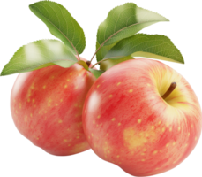 Fresh Apple fruits isolated on a transparent background png