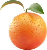 Nahansicht Orange Früchte mit Blätter isoliert auf ein transparent Hintergrund png