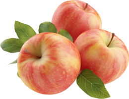 frisch Apfel Früchte isoliert auf ein transparent Hintergrund png