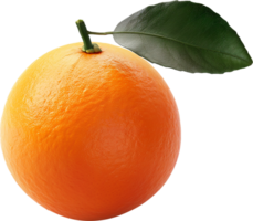 Closeup Orange fruits with leaves isolated on a transparent background png
