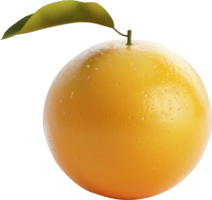 Nahansicht Orange Früchte mit Blätter isoliert auf ein transparent Hintergrund png