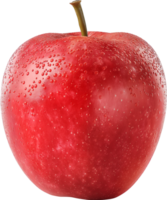 rood appel fruit geïsoleerd Aan een transparant achtergrond png