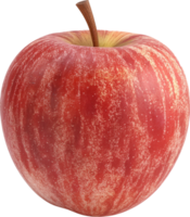 rood appel fruit geïsoleerd Aan een transparant achtergrond png