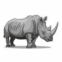 cute and beautiful rhinos different poses cartoon animal design flat illustration isolated on white background vector