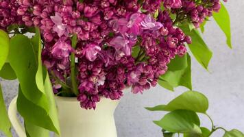 Bunch of spring lilac purple flowers in a vase video