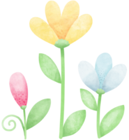 Spring watercolors elements png