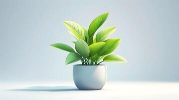 3d Flat cartoon style as Office plant isolated on white background concept as A stylish office plant isolated on a white background symbolizing a fresh workspace productivity and a photo