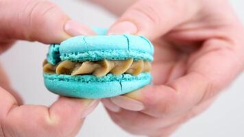 vrouw handen verpletteren bitterkoekjes handen, breken blauw macaron taart, verpletteren Purper biscuits met bosbes lavendel blauw kaas. kant visie. video