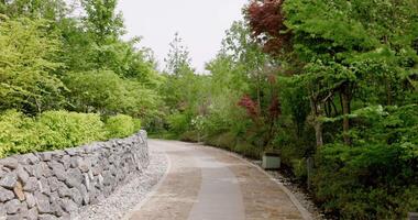 primero persona ver caminando en japonés jardín en krasnodar parque. tradicional asiático parque video