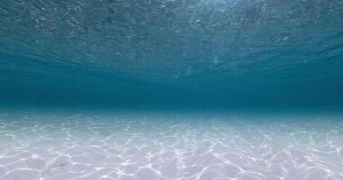 blauw oceaan onderwater- met wit zanderig bodem en golven. zee achtergrond video