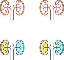 Kidney Icon Design vector