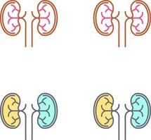 Kidney Icon Design vector