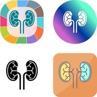 Kidney Icon Design vector