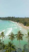 aereo Visualizza di tropicale spiaggia con palma alberi e turchese mare nel Tailandia video