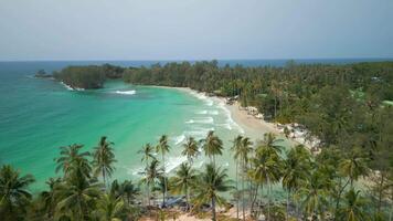 antenne visie van tropisch strand met palm bomen en turkoois zee in Thailand video