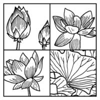 Lotus Lily Pad Outline Art, Lotus plant with flower Stock , Water Lilies Drawing , Waterlily flower coloring book hand drawn botanical spring elements bouquet of waterlily line art Lotus art tshirt vector