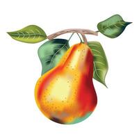 Pera Fruta ilustración vector