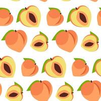 un modelo de de colores melocotones, todo y en sección. delicado colores, detallado textura, realista sombreado de frutas con hojas. ilustración en un par. de colores delicado frutas son destacado vector