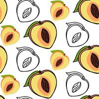 A pattern of colored peaches with a contour, half. Bright colors, detailed texture, realistic shading of fruits with leaves. illustration in seamless texture for printing. Pattern on white vector