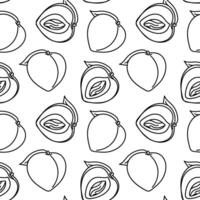 A pattern of peaches with a contour, whole and in section. Linear fruits with leaves are made in monochrome color. illustration paired in a pattern. Fluffy fruits in a seamless texture vector