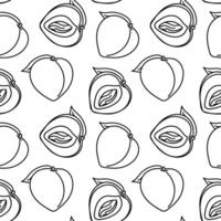 A pattern of peaches with a contour, whole and in section. Linear fruits with leaves are made in monochrome color. illustration paired in a pattern. Fluffy fruits in a seamless texture vector