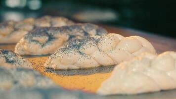 roh geflochten Gebäck Lügen auf Backen Blatt. mehrere Hefe Teig Prise mit Mohn Saat Vor Backen im Ofen. Produktion von Brot beim Bäckerei video