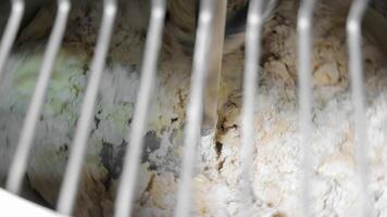 Dough mixing machine. A view through the grate at the dough being mixed. video